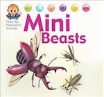 Nora the Naturalist's Animals: Minibeasts