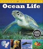 Visual Explorers: Ocean Life