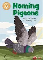 Reading Champion: Homing Pigeons