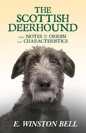 SCOTTISH DEERHOUND W/NOTES ON