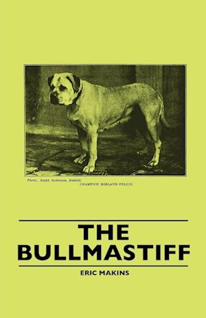 Makins, E: Bullmastiff