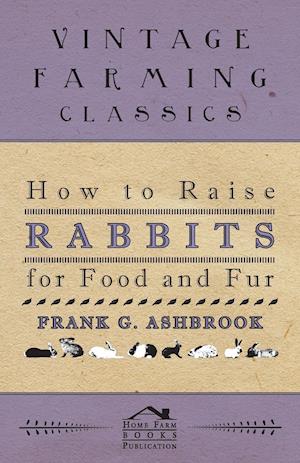 How To Raise Rabbits For Food And Fur