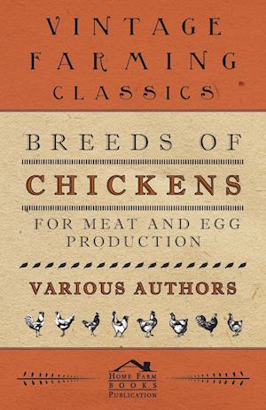 Breeds of Chickens for Meat and Egg Production