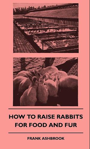 How To Raise Rabbits For Food And Fur