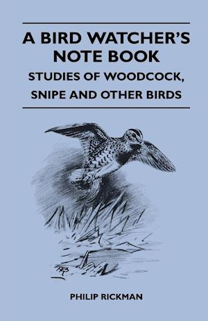 A Bird Watcher's Note Book - Studies Of Woodcock, Snipe And Other Birds