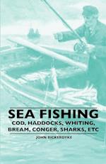 Sea Fishing - Cod, Haddocks, Whiting, Bream, Conger, Sharks, Etc