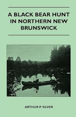 A Black Bear Hunt In Northern New Brunswick