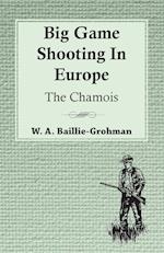 Big Game Shooting In Europe - The Chamois