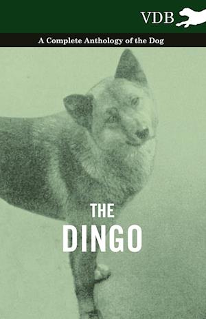 The Dingo - A Complete Anthology of the Dog -