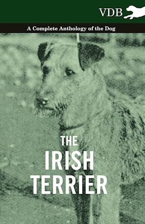 Various: Irish Terrier - A Complete Anthology of the Dog