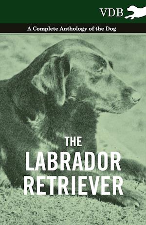 The Labrador Retriever - A Complete Anthology of the Dog