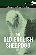 The Old English Sheepdog - A Complete Anthology of the Dog