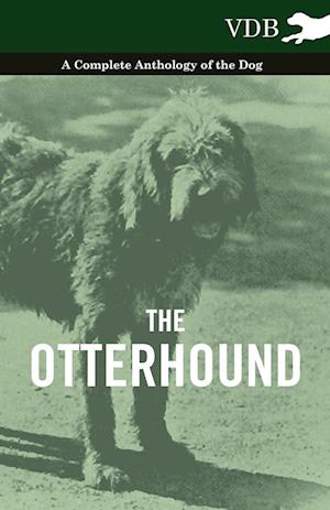 The Otterhound - A Complete Anthology of the Dog