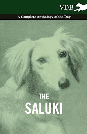 The Saluki - A Complete Anthology of the Dog