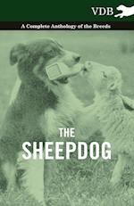 The Sheepdog - A Complete Anthology of the Breeds