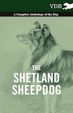 The Shetland Sheepdog - A Complete Anthology of the Dog