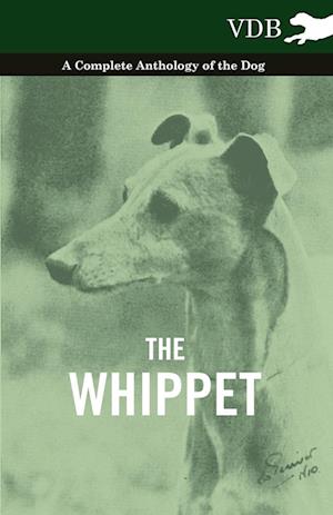 Various: Whippet - A Complete Anthology of the Dog