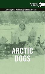 Arctic Dogs - A Complete Anthology of the Breeds -