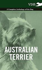 AUSTRALIAN TERRIER - A COMP AN
