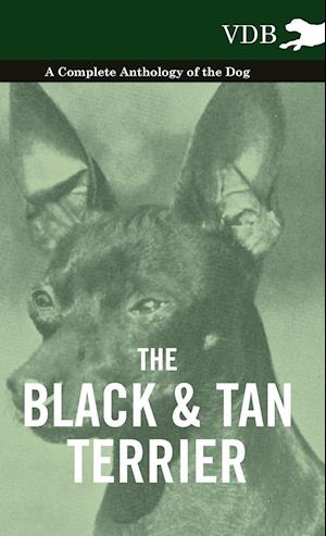 The Black and Tan Terrier - A Complete Anthology of the Dog -