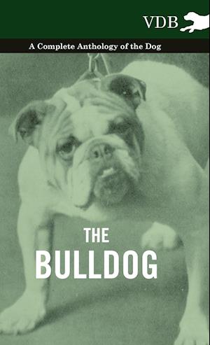 The Bulldog - A Complete Anthology of the Dog -