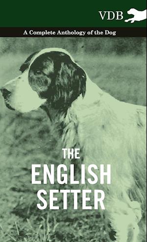 The English Setter - A Complete Anthology of the Dog