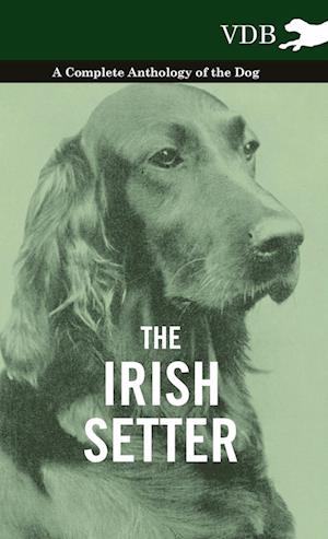 The Irish Setter - A Complete Anthology of the Dog