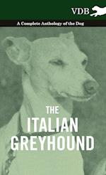 The Italian Greyhound - A Complete Anthology of the Dog