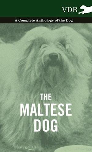 MALTESE DOG - A COMP ANTHOLOGY