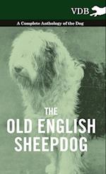 OLD ENGLISH SHEEPDOG - A COMP