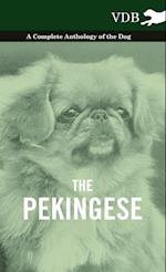 PEKINGESE - A COMP ANTHOLOGY O