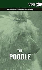 Various: Poodle - A Complete Anthology of the Dog