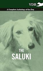 Various: Saluki - A Complete Anthology of the Dog