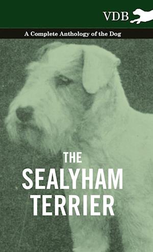 SEALYHAM TERRIER - A COMP ANTH