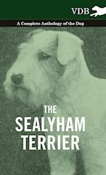 SEALYHAM TERRIER - A COMP ANTH