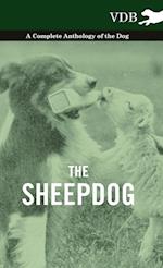 The Sheepdog - A Complete Anthology of the Breeds