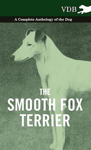 SMOOTH FOX TERRIER - A COMP AN