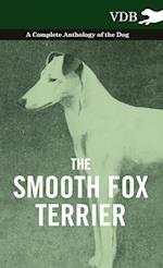 SMOOTH FOX TERRIER - A COMP AN