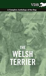 WELSH TERRIER - A COMP ANTHOLO