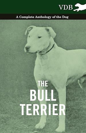 BULL TERRIER - A COMP ANTHOLOG