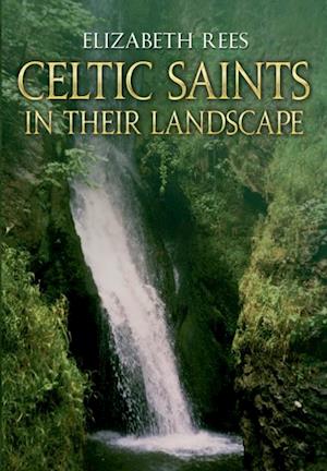 Celtic Saints In Their Landscape