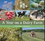 Year on a Dairy Farm