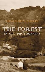 The Forest in Old Photographs