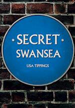 Secret Swansea