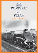 Portrait of Steam