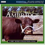 Essential Sound Effects of Ambridge
