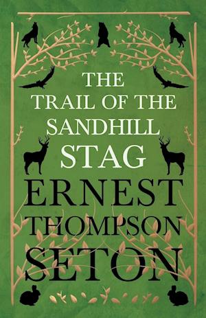 The Trail Of The Sandhill Stag