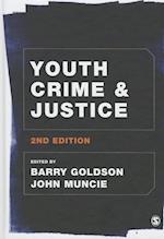 Youth Crime and Justice