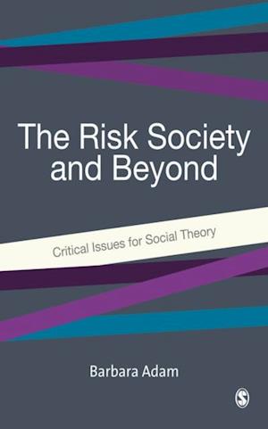 Risk Society and Beyond