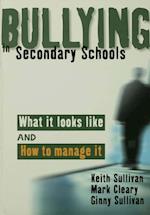 Bullying in Secondary Schools